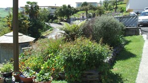 Un quartier résidentiel avec une route asphaltée, une variété de plantes en pot et une vue sur des maisons en arrière-plan.