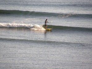 واجهة المنشأة