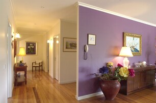 Televisión 46 cm con canales de televisión digitales, reproductor de DVD