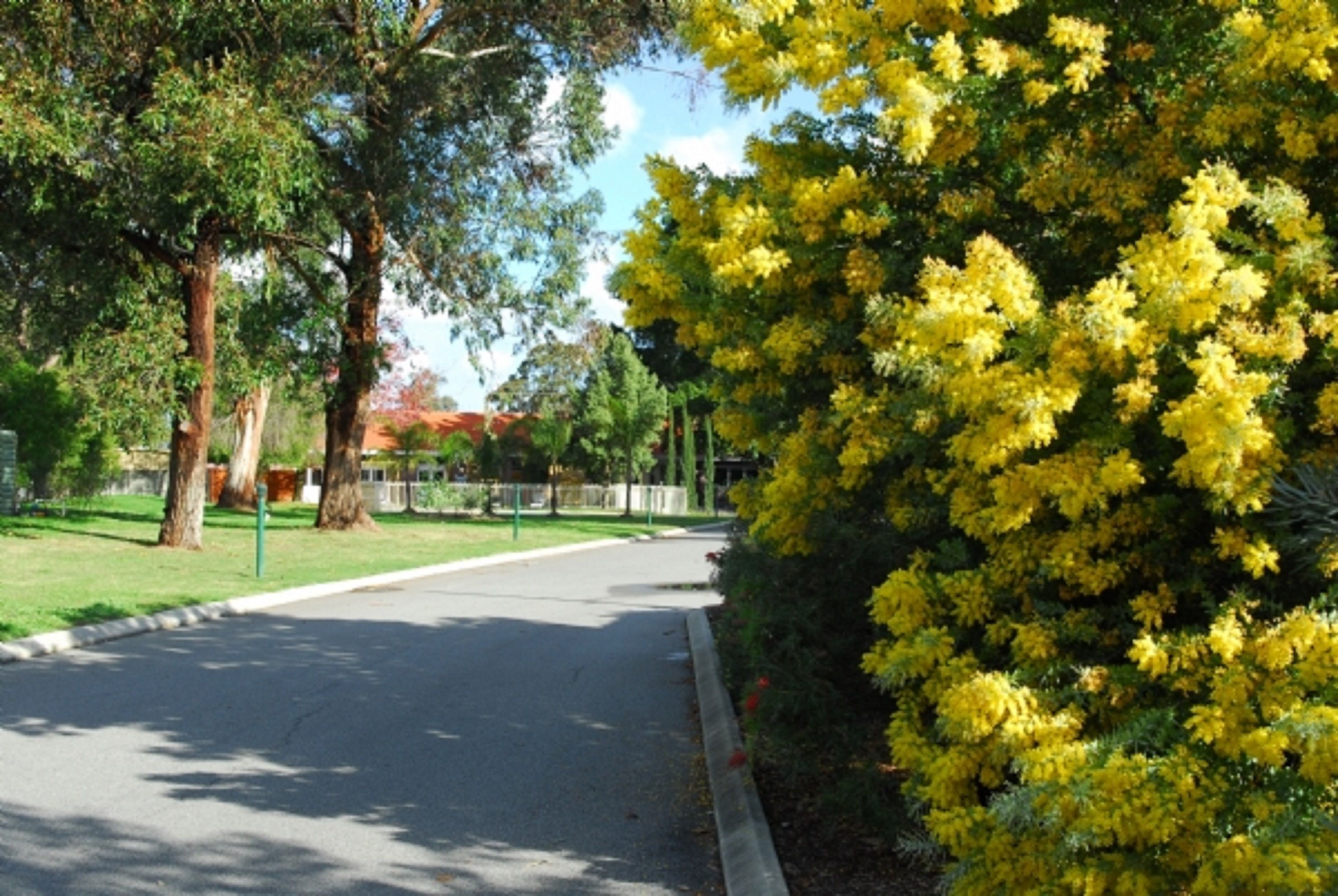 Foto - Wattle Grove Motel
