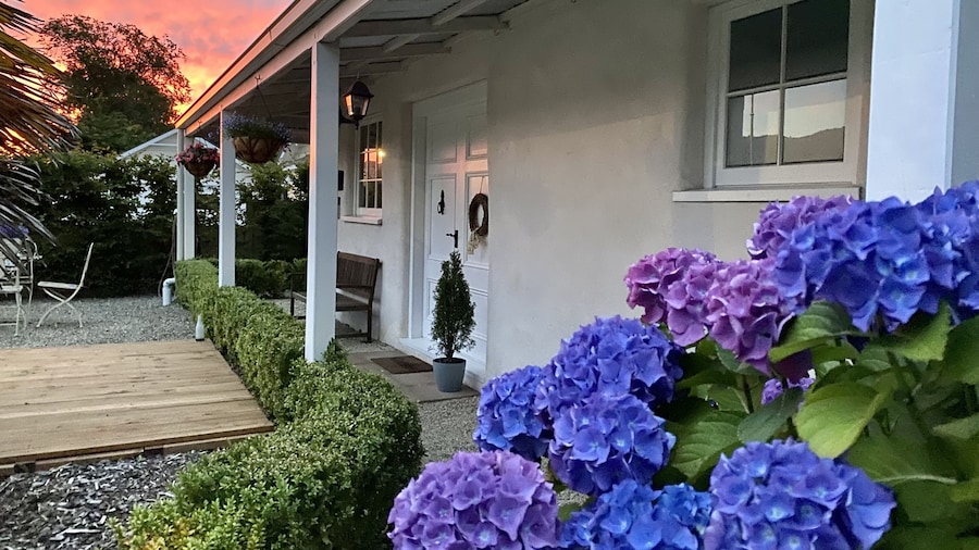 Woodstock Suite