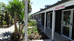 Garden - Southpacific Motel and Conference Centre (Whangamata)