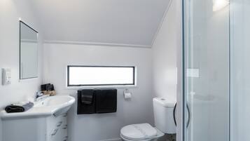 A small, modern bathroom with a white sink, a toilet, and a glass shower enclosure.