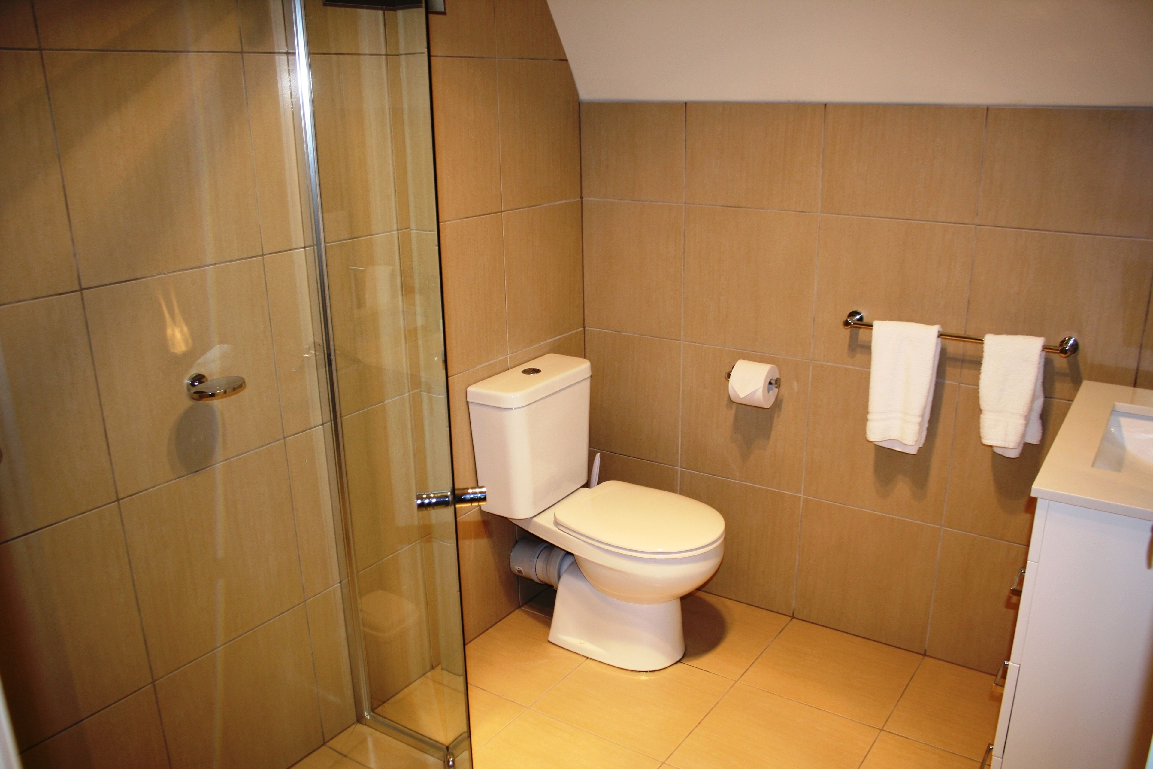 Een badkamer met toilet, een glazen douchecabine en een wastafel met handdoekhouder.
