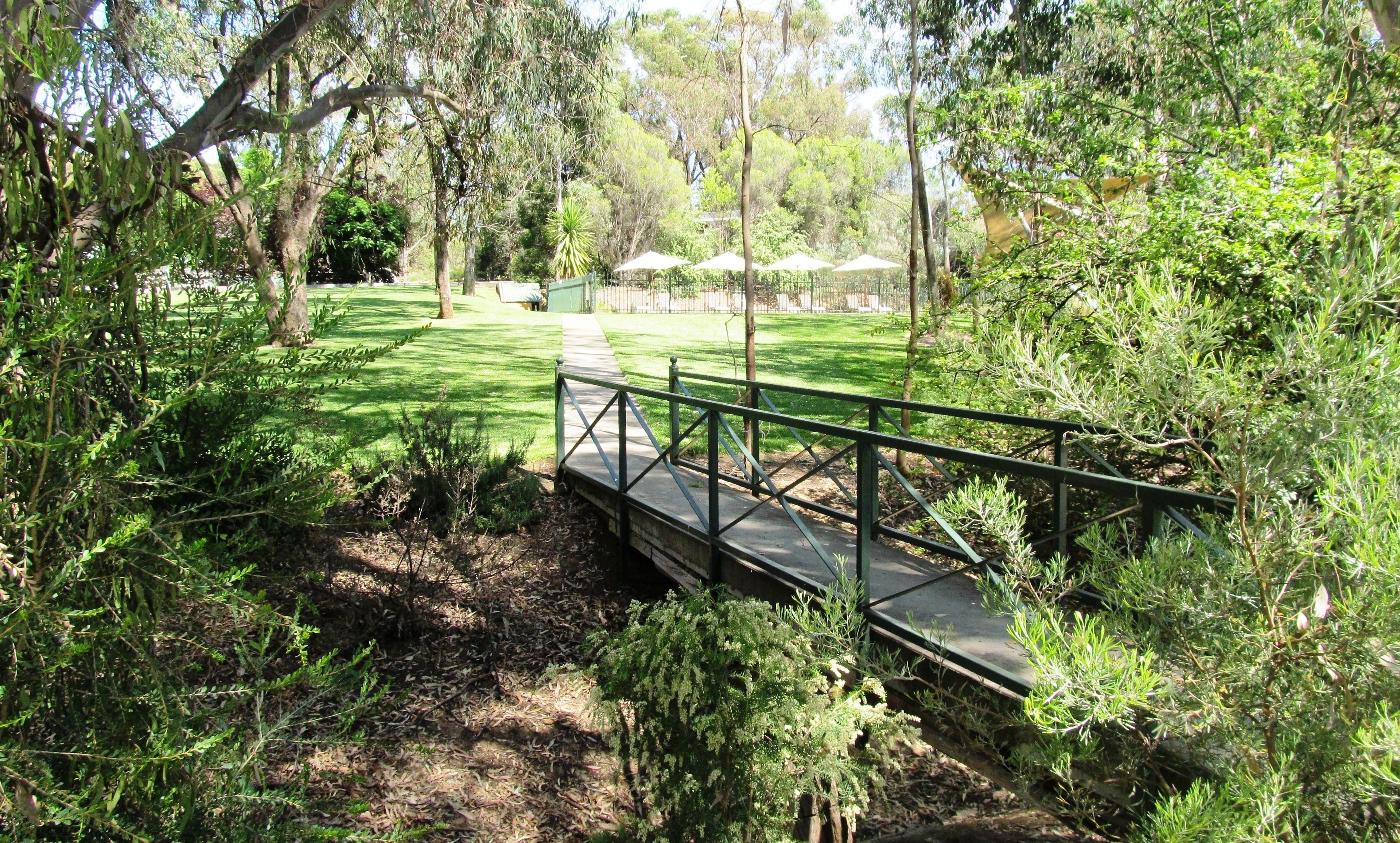 Un sentier menant à un pont qui enjambe un petit bassin, le tout étant entouré d’une végétation luxuriante et d’arbres.
