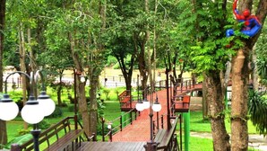 A wooden deck with railings, surrounded by trees and greenery. - Pung Waan Kwae Noi Resort (Sai Yok)