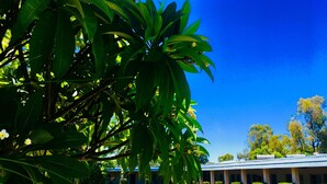 A building with a covered parking area, surrounded by lush green foliage and a clear blue sky.