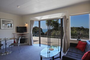 TV de tela plana, DVD player