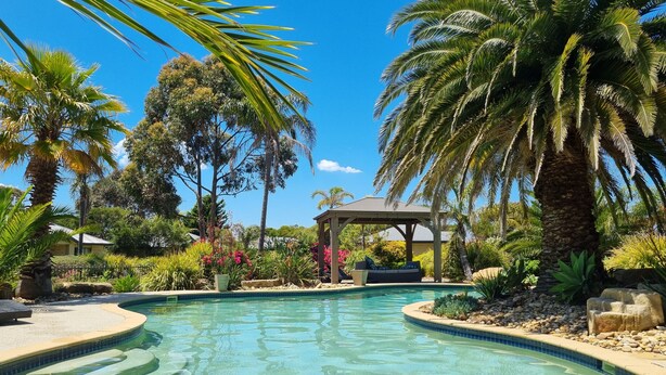 Una piscina rodeada de palmeras y diversas plantas, con un pabellón en el fondo.
