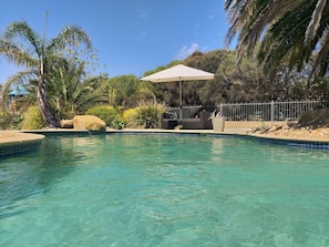 Piscina cristalina com área de estar, cercada por palmeiras e pedras.