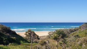 Beach/ocean view