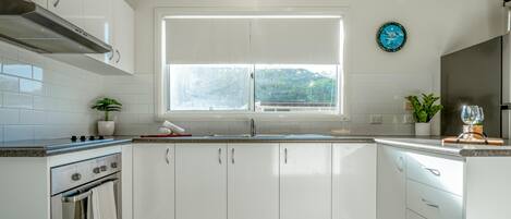 A modern kitchen with white cabinets, a stainless steel oven, a window with a view, and a potted plant on the counter.