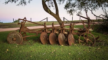 An old, rusted plow with wheels, located in a grassy area with a tree and a fence in the background.