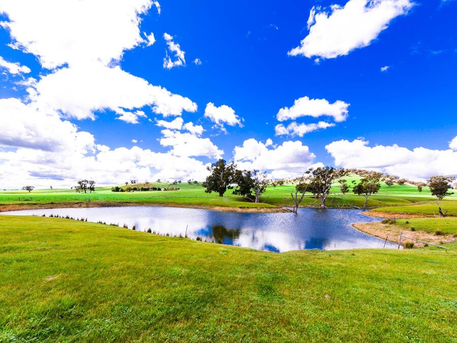 Lake view