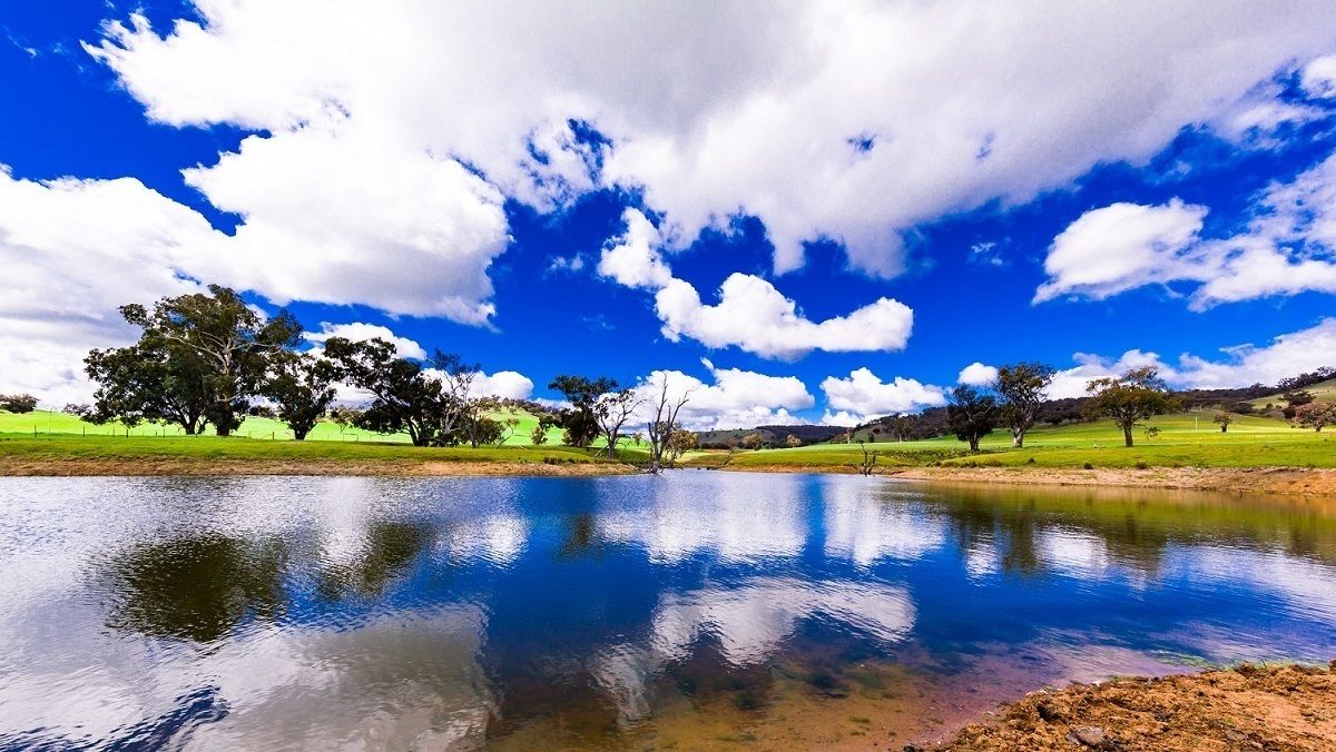 A serene landscape with a clear blue sky, a calm body of water reflecting trees, and a grassy field.