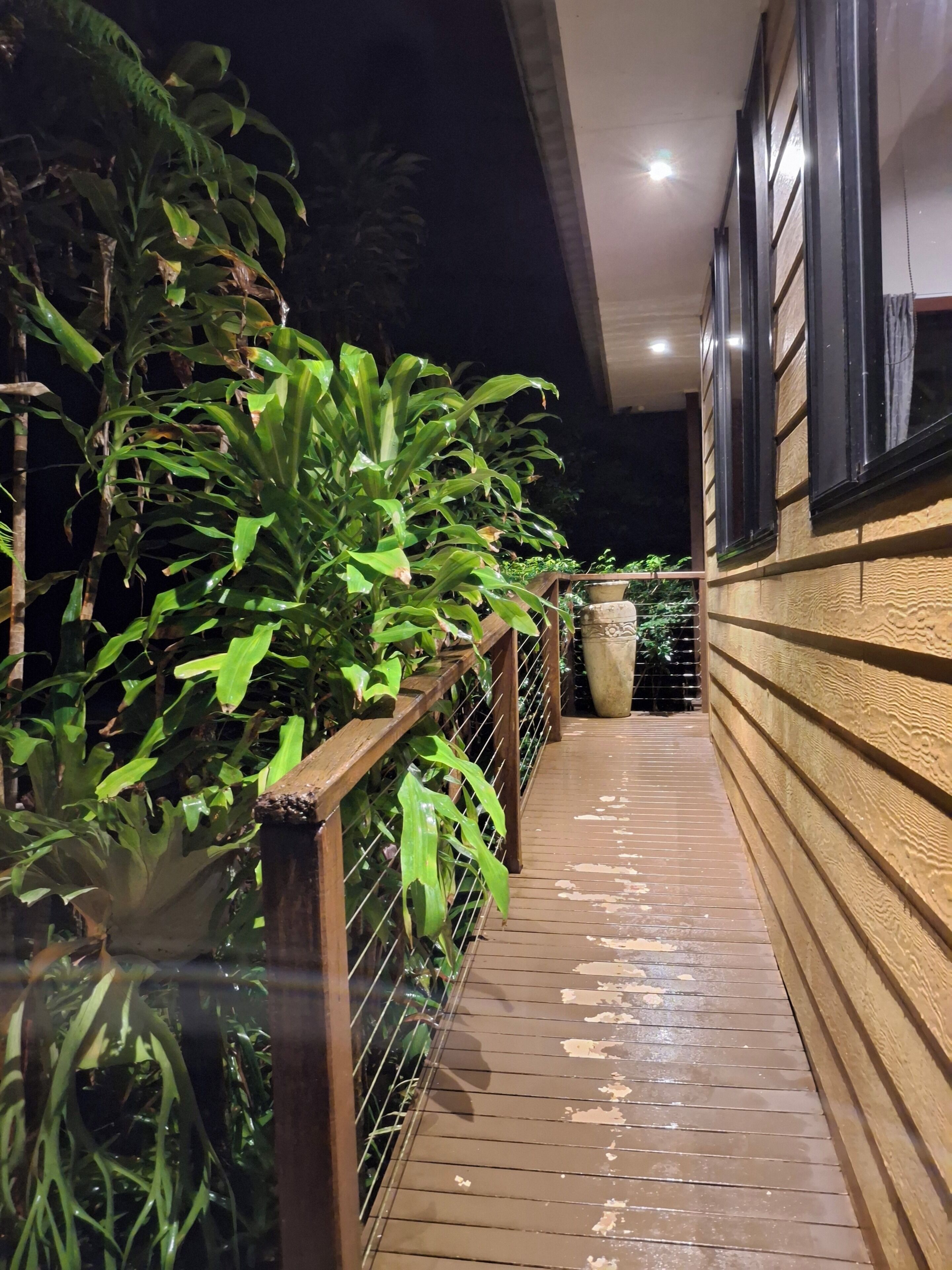A wooden deck with a railing, surrounded by lush greenery.