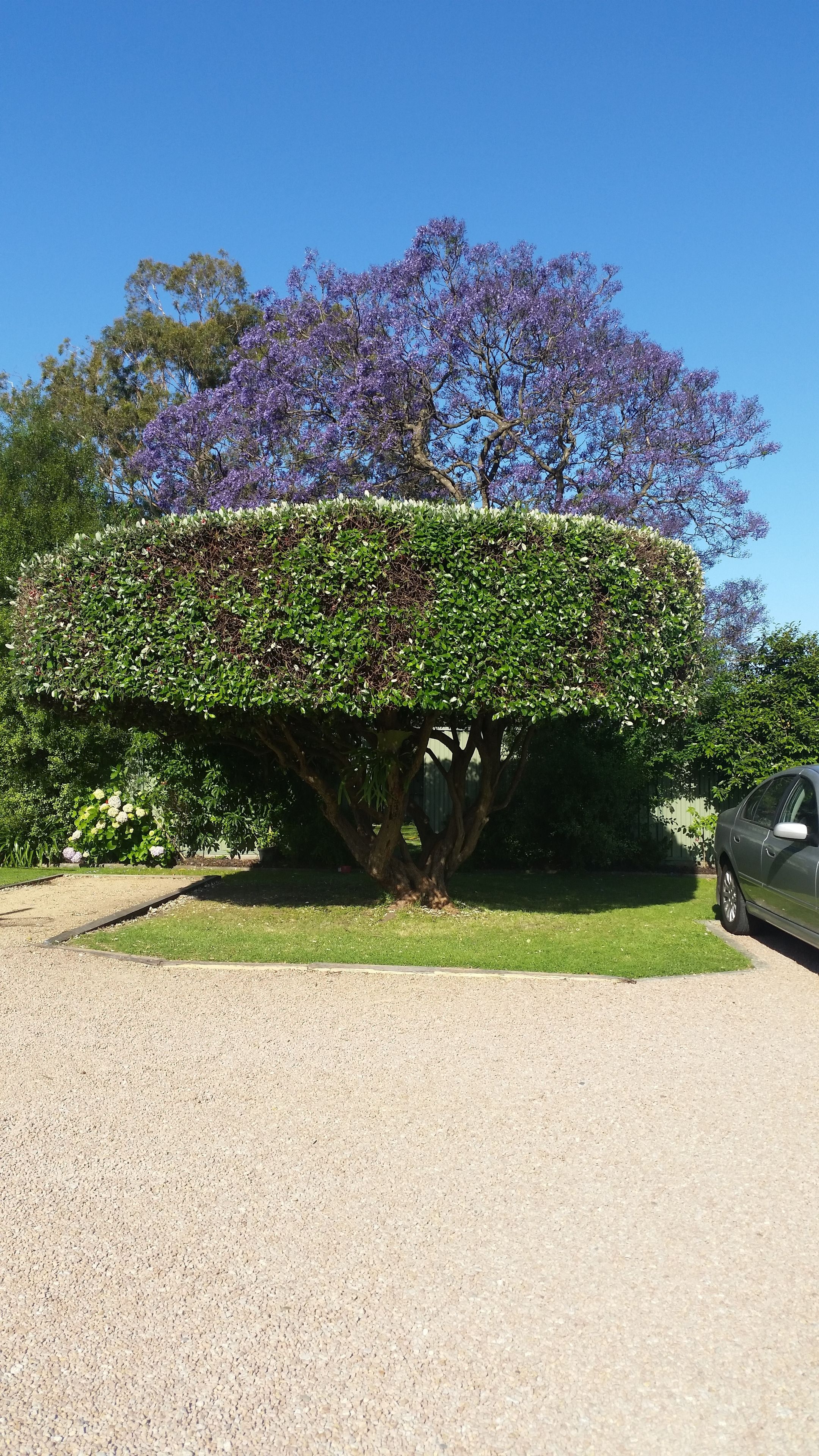 Näkymä majoituspaikasta