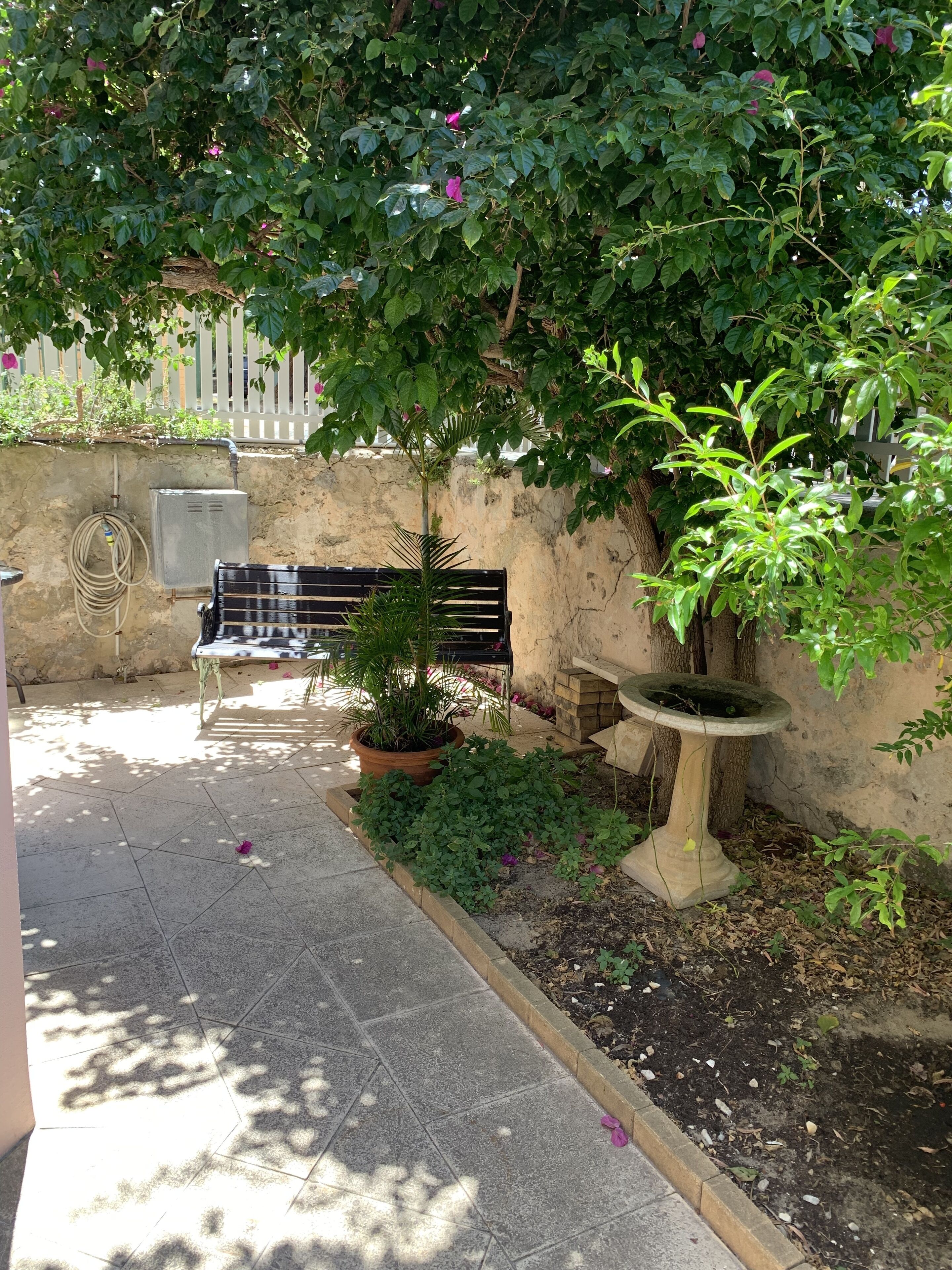 Un espace jardin aménagé avec un banc, un pot de fleurs et un abreuvoir pour oiseaux.