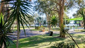 Property grounds - NRMA Budgewoi Holiday Park (Budgewoi)