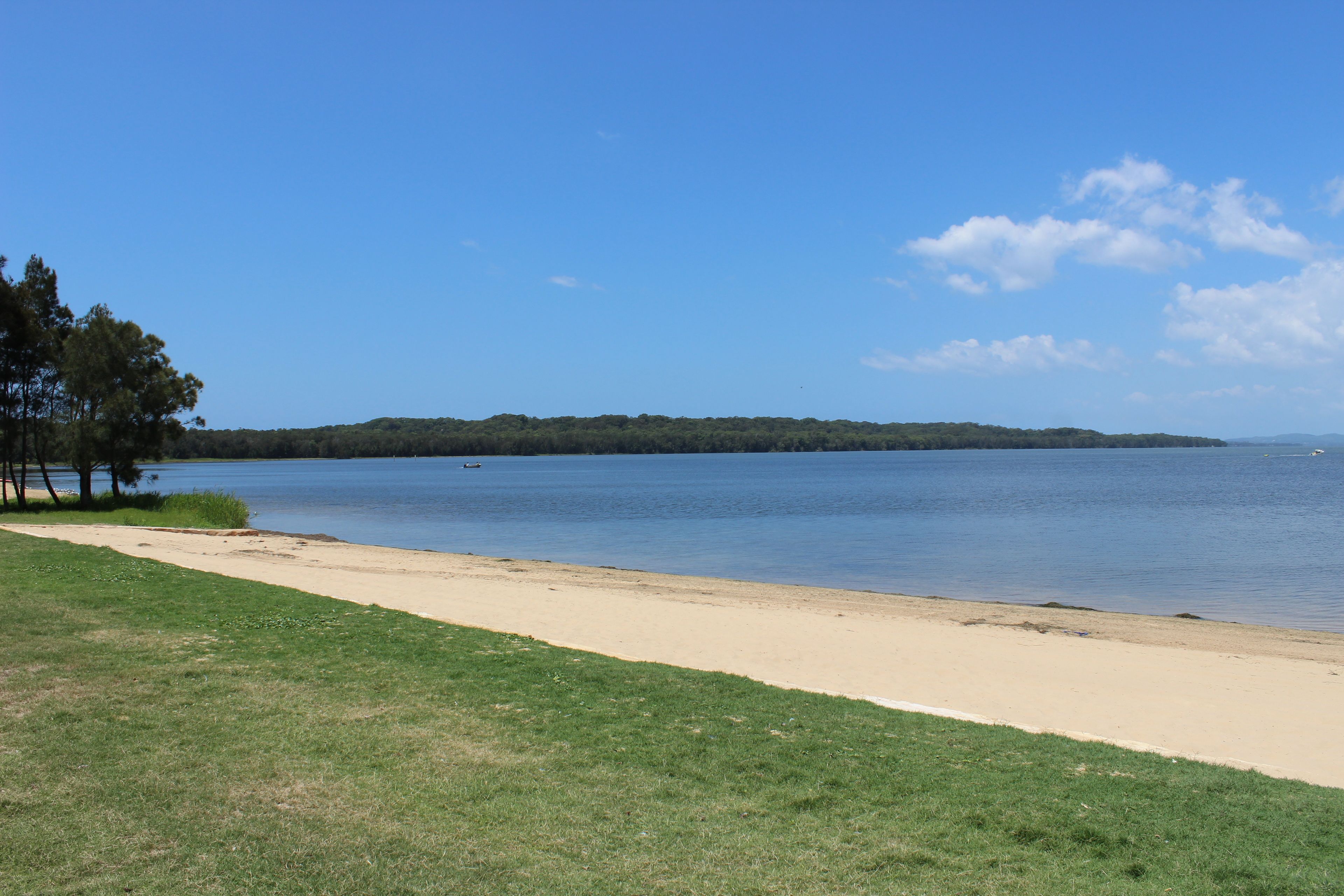Uma praia com costa de areia, área gramada e uma colina arborizada ao fundo.