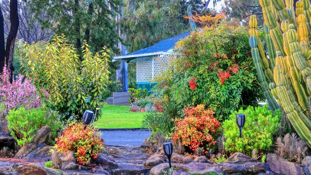 Un jardín con diversas plantas y un edificio pequeño al fondo.