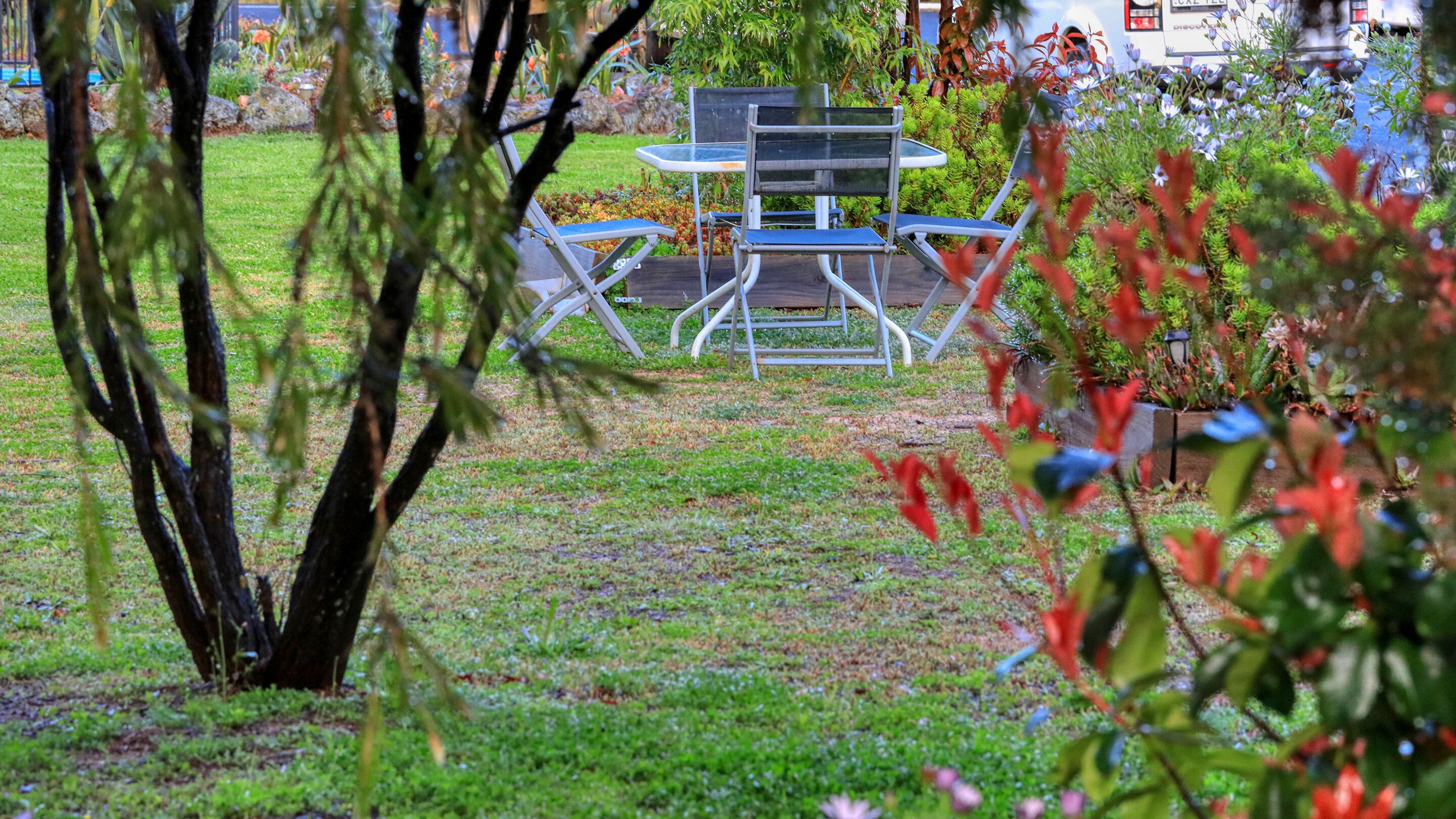 Un espacio al aire libre con mesa y sillas, rodeado de follaje y plantas.
