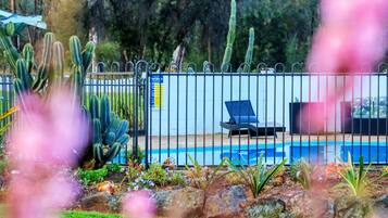 Un espace piscine entouré d’une clôture en métal, avec une chaise, ainsi que divers cactus et plantes.