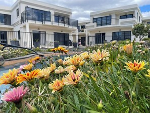 Exterior - Ocean Breeze Resort (Pauanui)