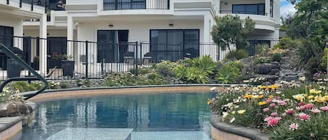 Outdoor pool, pool loungers
