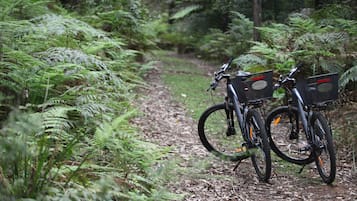 Bicycling