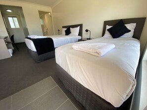  Deluxe Twin Room (1 Queen and 1 Single Bed)