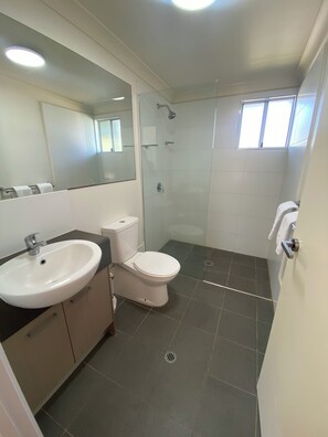Une salle de bain avec un lavabo, des toilettes et une douche.