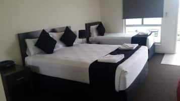  Deluxe Twin Room (1 Queen and 1 Single Bed)