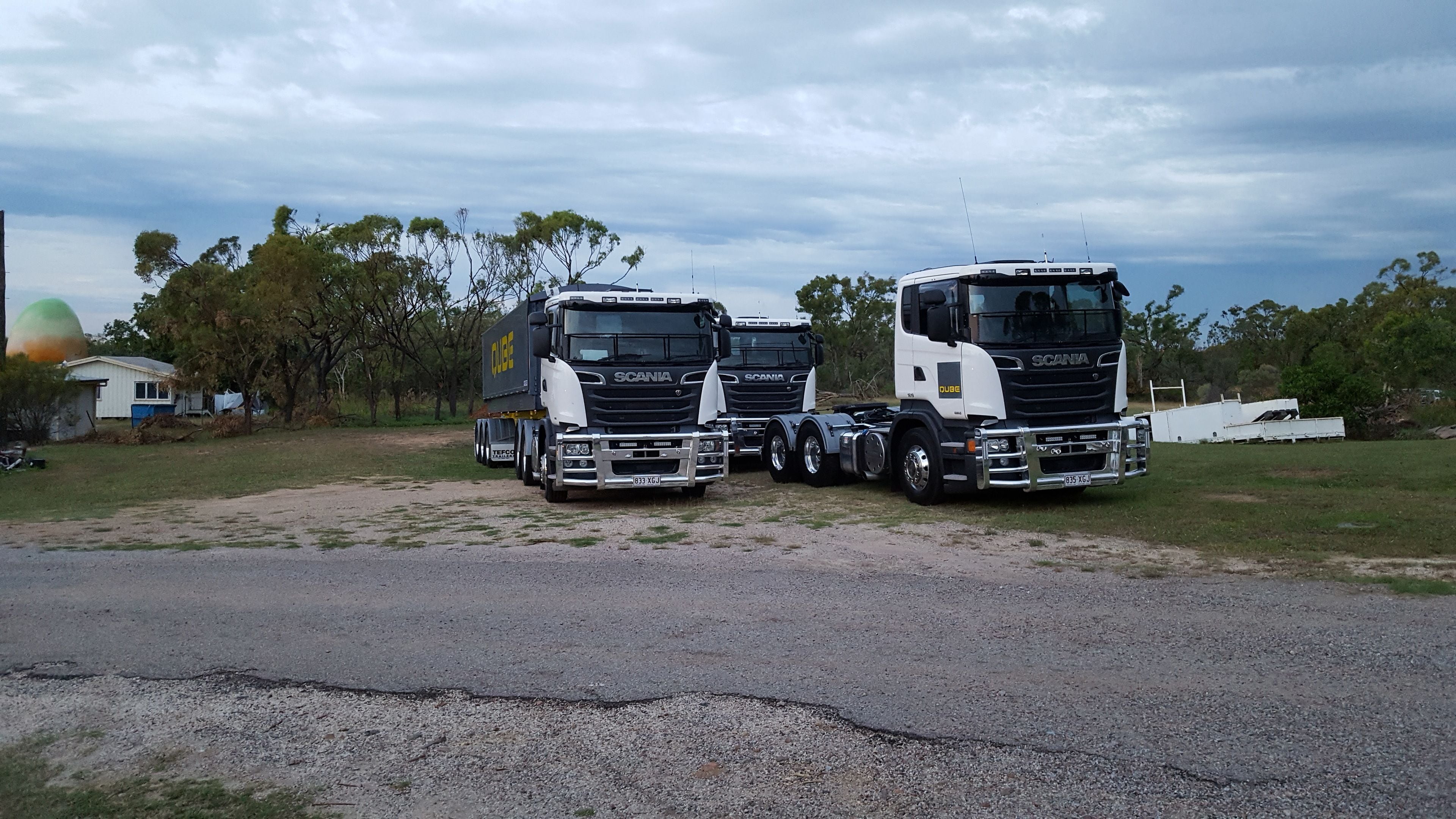 Three Scania trucks parked on a gravel road with a grassy area and trees in the background.