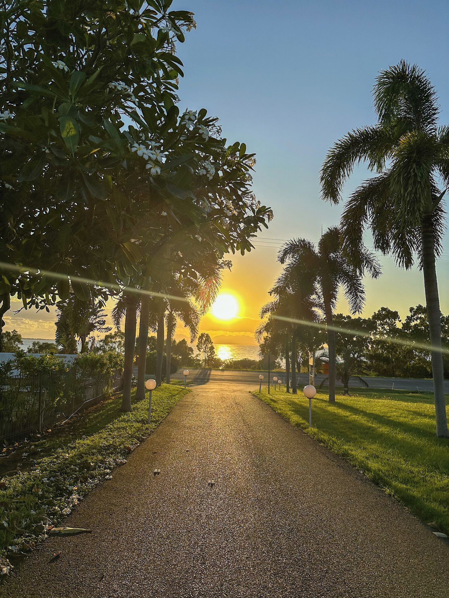Un sendero bordeado de palmeras con un atardecer al fondo.