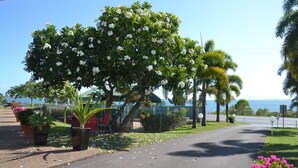A tree-lined street with a clear view of the sea, a picnic area, and a road with a fence. - Ocean View Motel Bowen (Bowen)