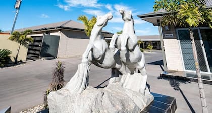 Athena Studio Units