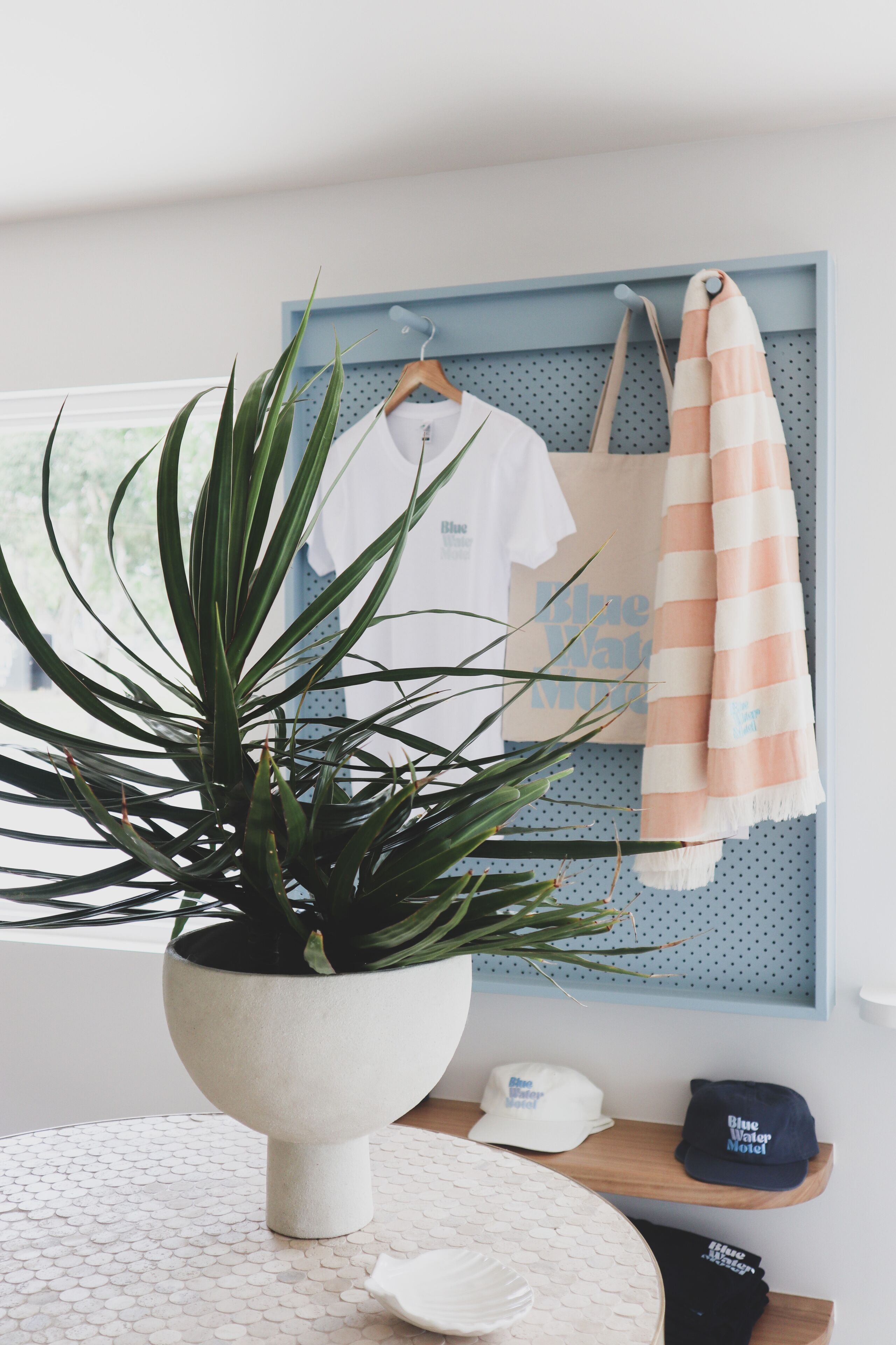 A plant in a white pot on a round table, a white t-shirt, a striped towel, and two caps on a shelf.