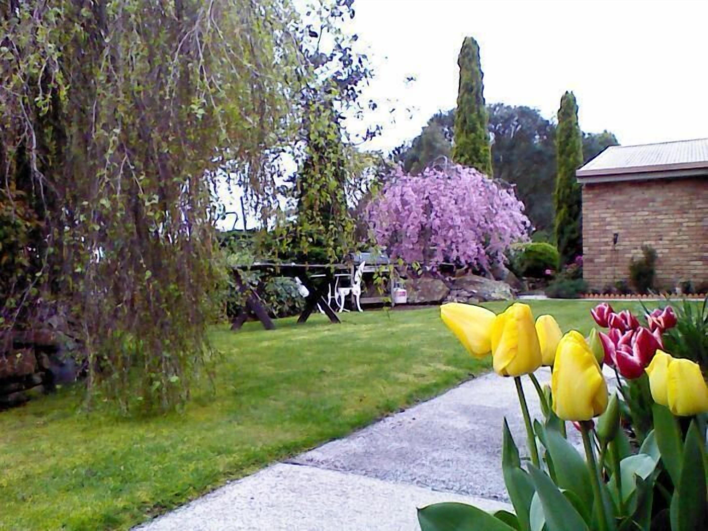 Sherwood View Accommodation — image 1