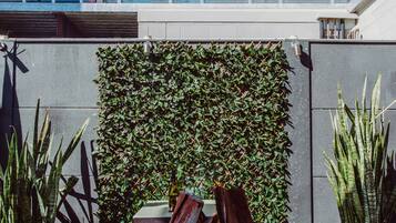 Se sirven almuerzos y cenas, cocina europea moderna