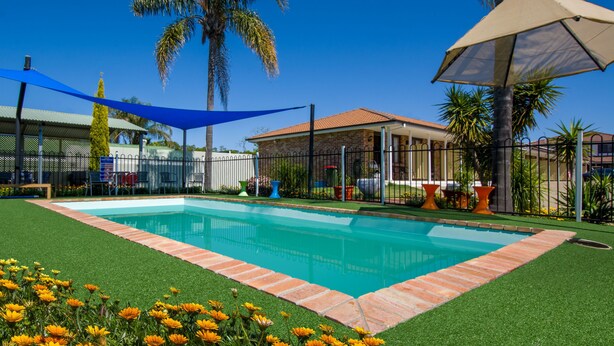A swimming pool with a brick border, surrounded by artificial grass and yellow flowers. - Aalbany Motel (Narrabri)