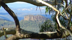 A view of a rocky mountain range with dense forested areas in the foreground. - Aalbany Motel (Narrabri)