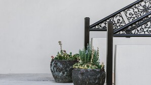 Two large, weathered planters with various plants on a concrete surface next to a staircase with ornate metal railings. - Inverell Terrace Motor Lodge (Inverell)