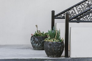 Dos macetas grandes y desgastadas con diversas plantas sobre una superficie de hormigón al lado de una escalera con barandillas de metal ornamentadas.