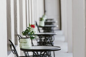 Filas de mesas y sillas al aire libre con plantas en macetas, frente a una pared blanca.