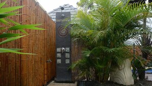 Una tanca de bambú, un mur de pedra amb un disseny espiral i una palmera.