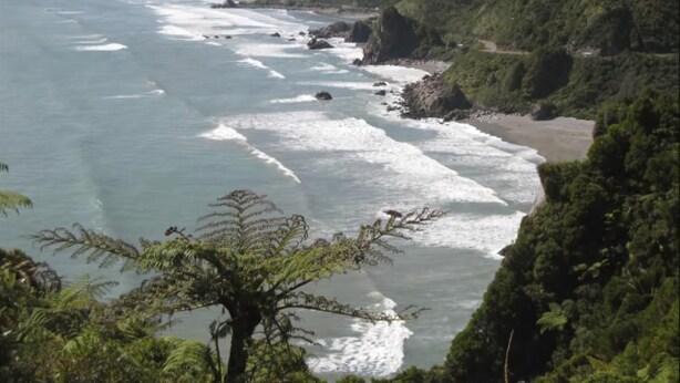 A coastal landscape with a beach, waves, and dense greenery.