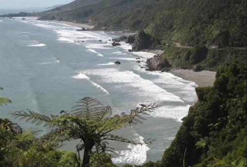 Buller Court on Palmerston