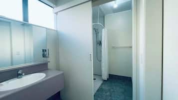Access Room | Bathroom | Combined shower/bathtub, hair dryer, towels