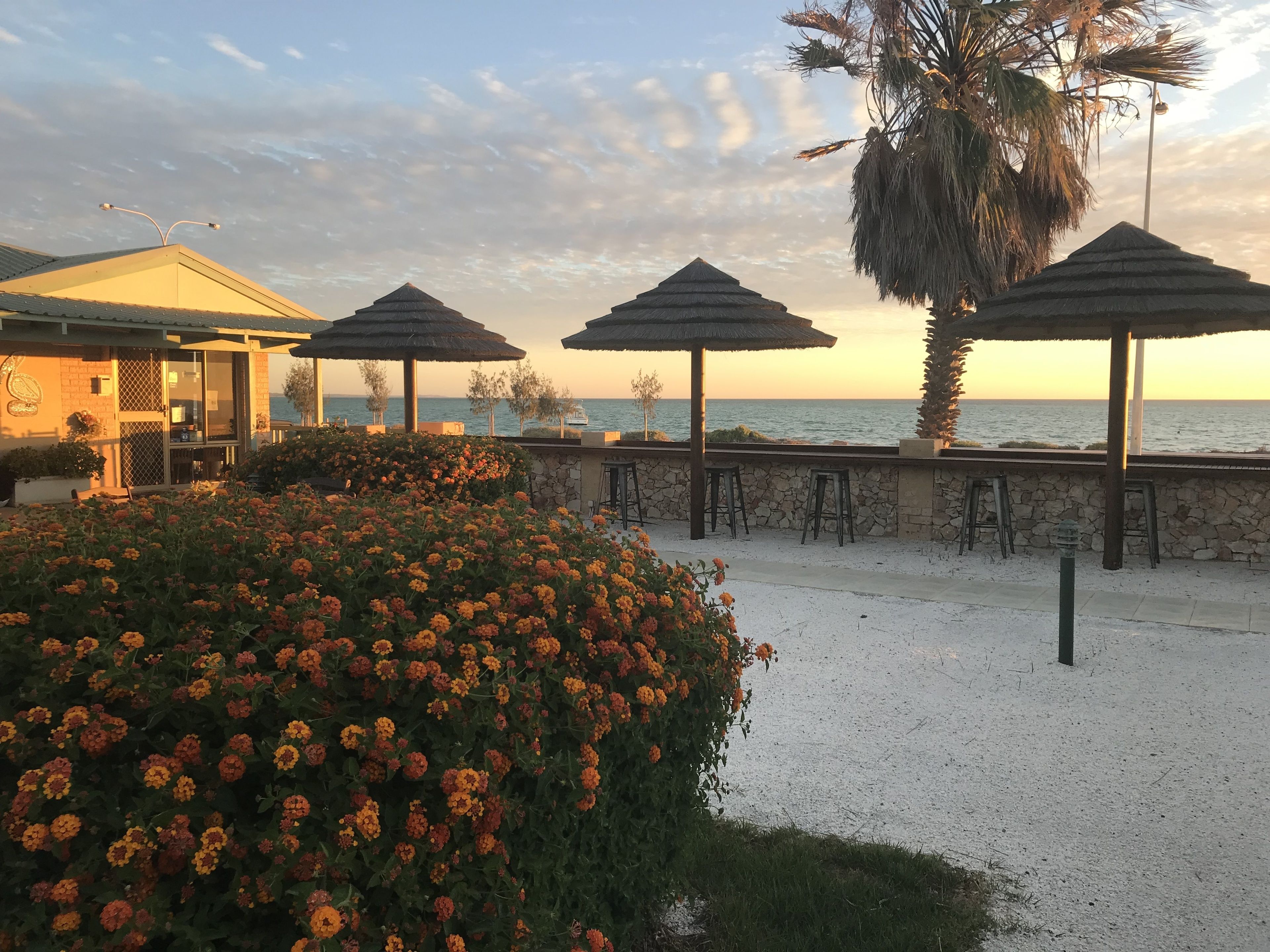 Un patio frente a la playa con sombrillas, un muro de piedra y vista al mar.